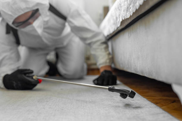 Professional Bed Bug Control technician working in Mantua, UT