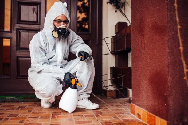 Reliable Bed Bug Control contractor in Mantua, UT by Nex Pest Control