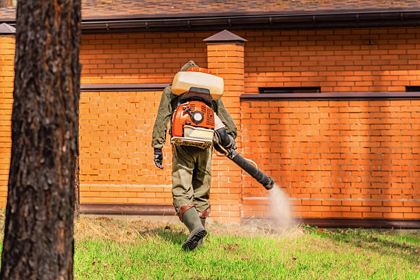 Trusted Bed Bug Control service in Mantua, UT - Nex Pest Control